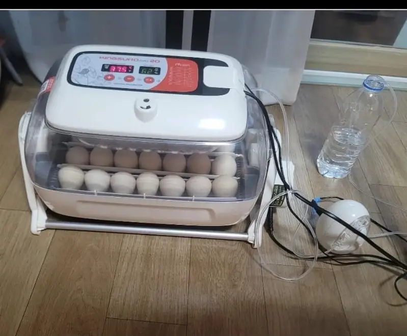 Incubators used & new