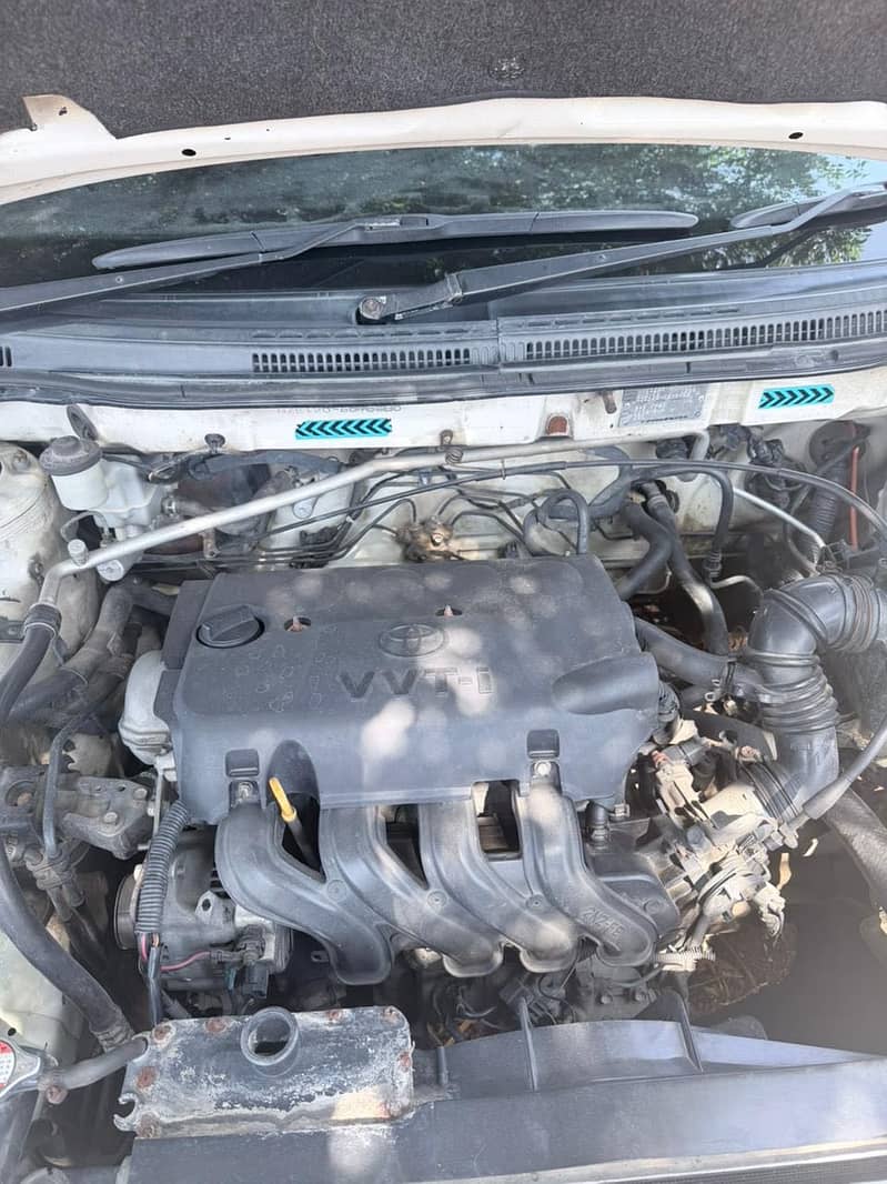 Corolla 6