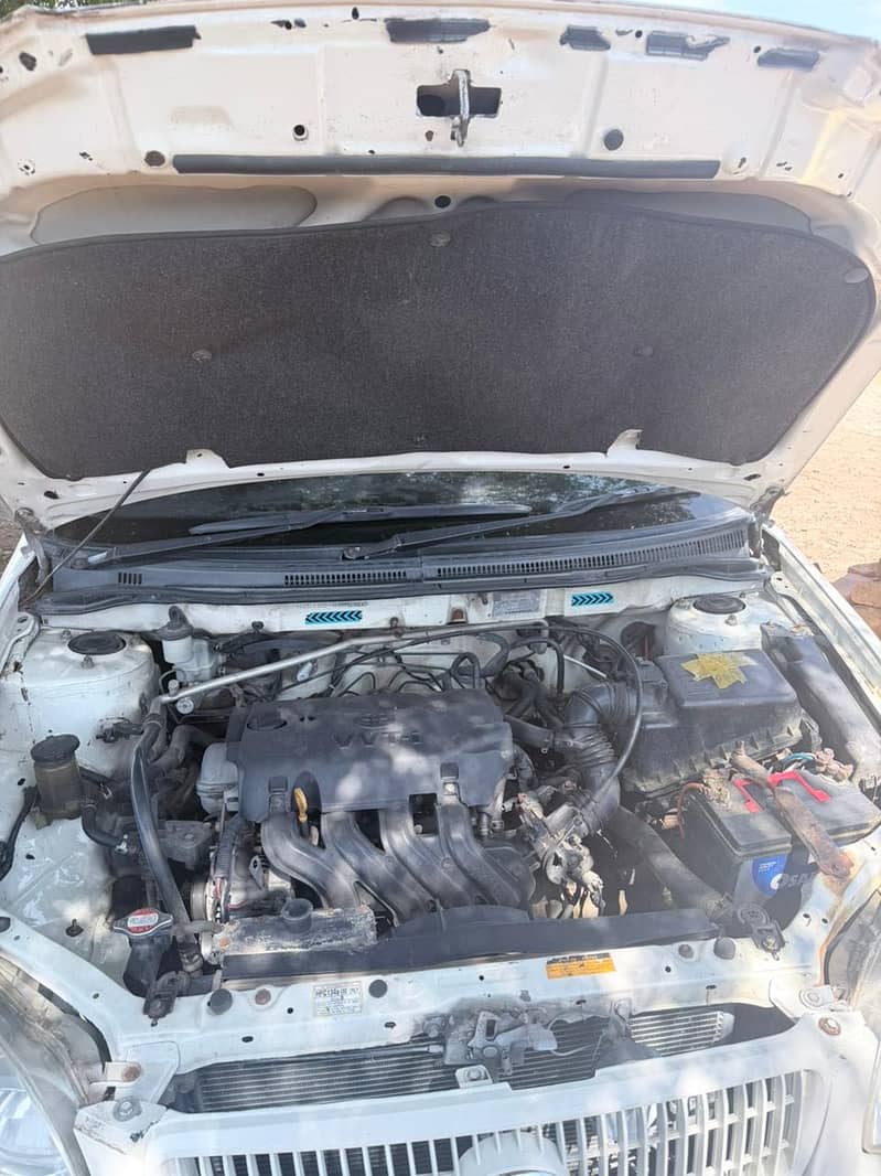 Corolla 7
