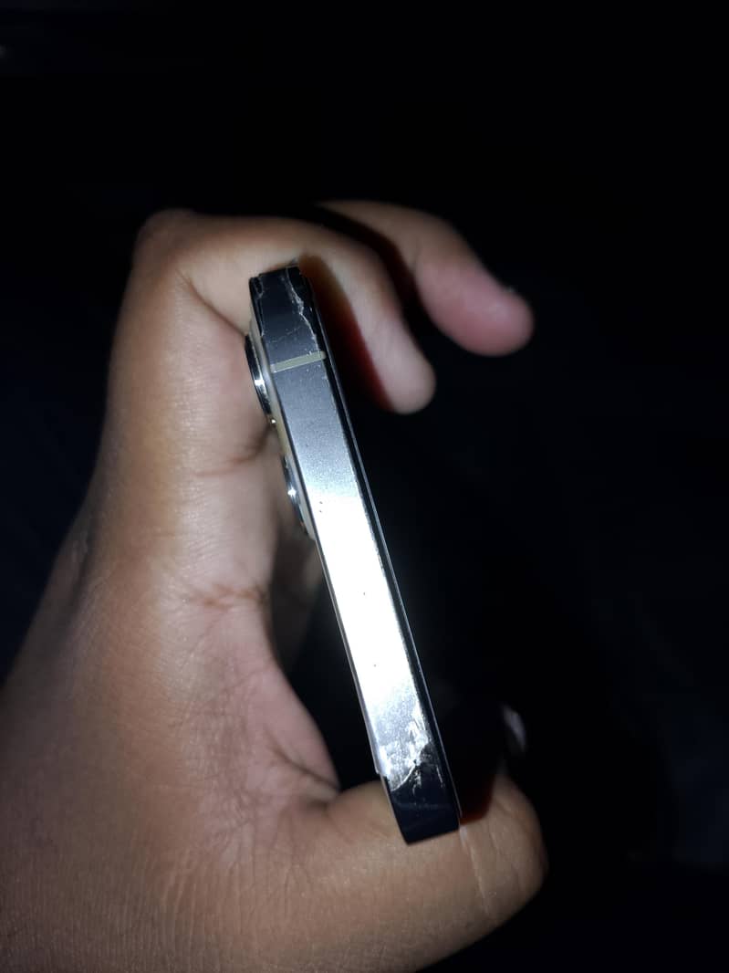 Apple iPhone 12 Pro Max 1