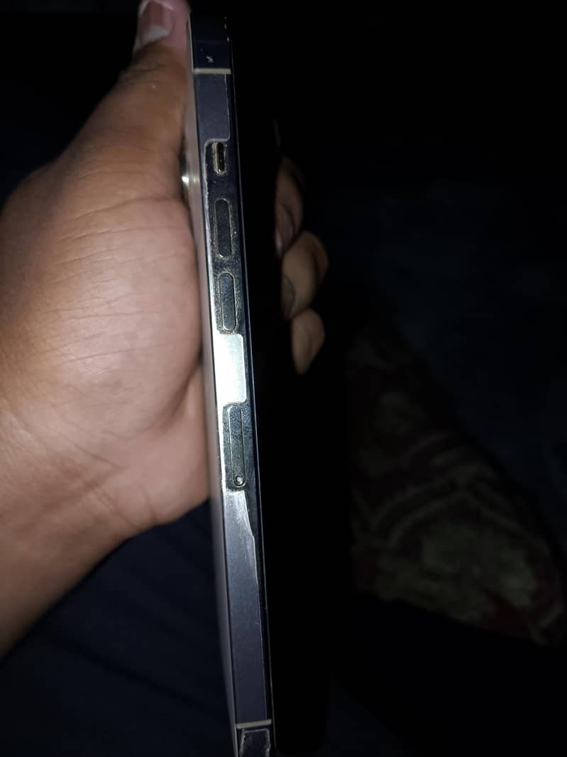 Apple iPhone 12 Pro Max 3
