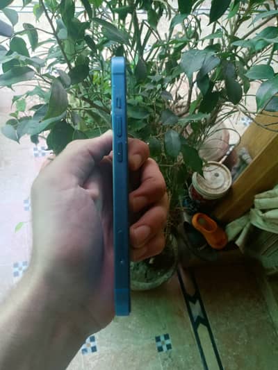 Iphone 13 Factory unlock with box