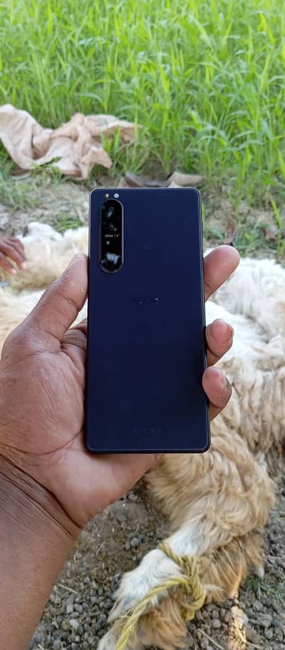sony for sale