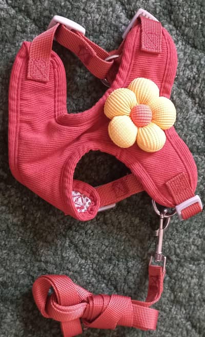 imported - Dog and Cat accessories _ Europen Quality