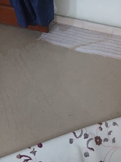 Carpet