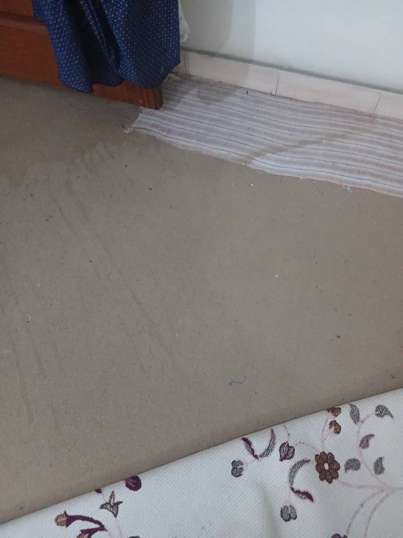 Carpet 1