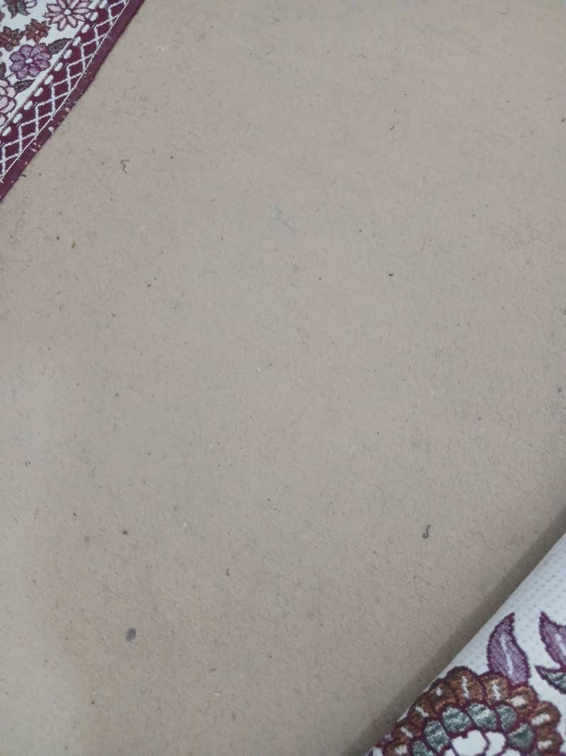 Carpet 3
