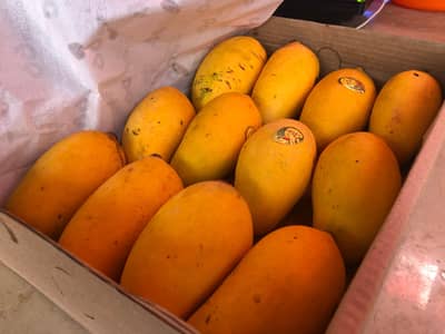 1 box of mango for sale in good price