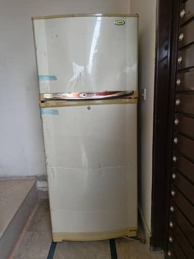 full size 2 door Fridge