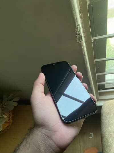 12 pro dual pta approved 256gb