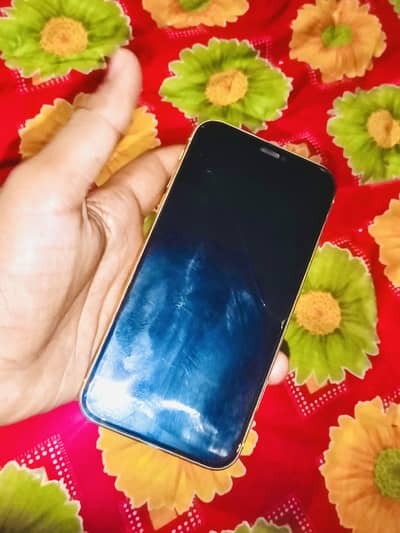 iPhone 11 nonpta factory unlock True Tone on exchange possible