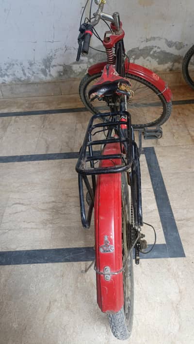 sport cycle