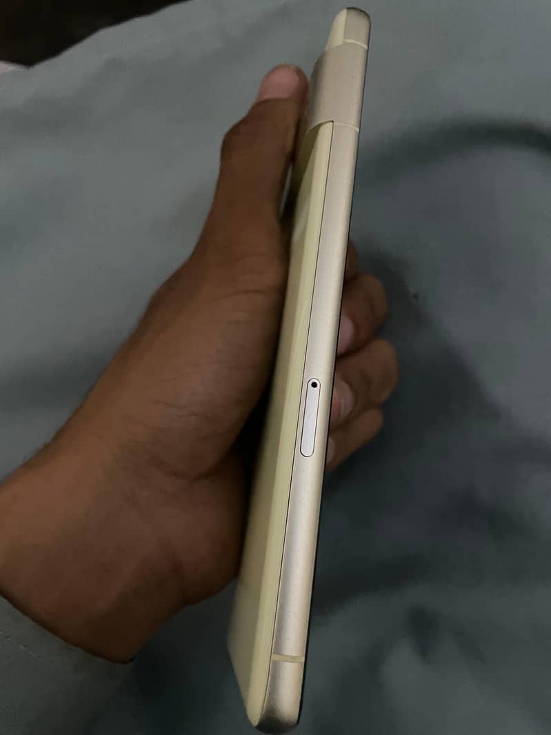 Google Pixel 7 Exchange Possible 4