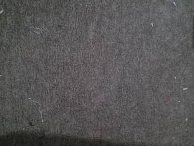 carpet