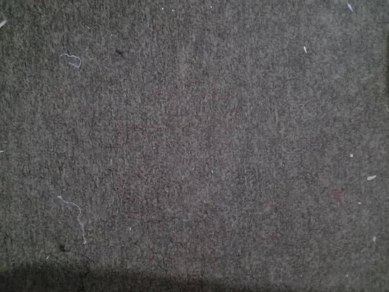 carpet 0