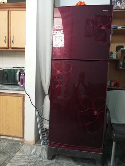Orient Jade 13 Cu Ft Refrigerator (OR-6047GD) – Excellent Condition