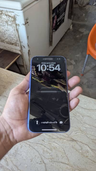 16 Plus 256GB 100 health bypass