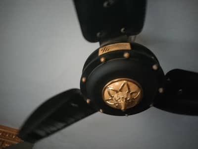 Royal fan