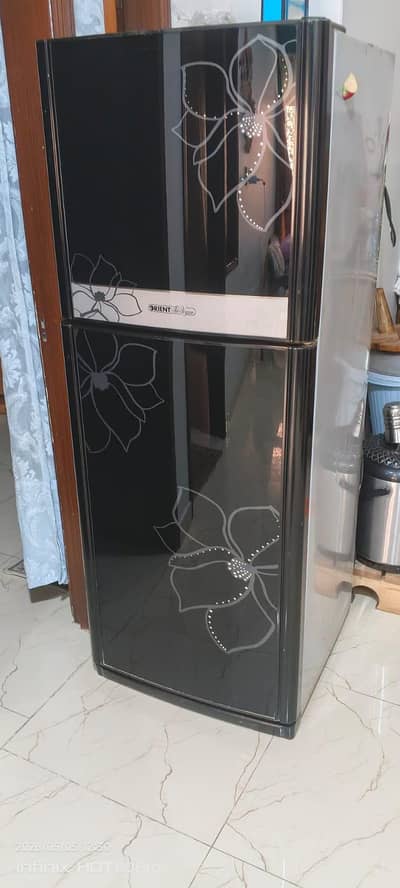 Orient Glass Door Fridge Medium Size