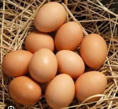 Desi egg