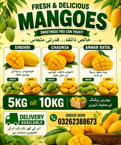 Sindhri mango for sale sweet : juicy  Sweet • Juicy •ygsn