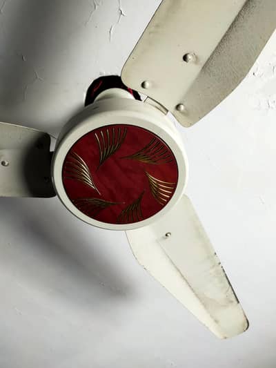 Roof Fan