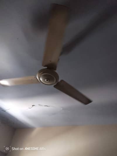 SEILING FAN FAST