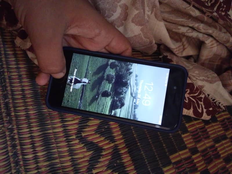 Apple iPhone 7 1