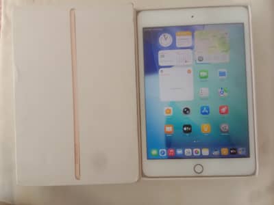 Ipad mini 5