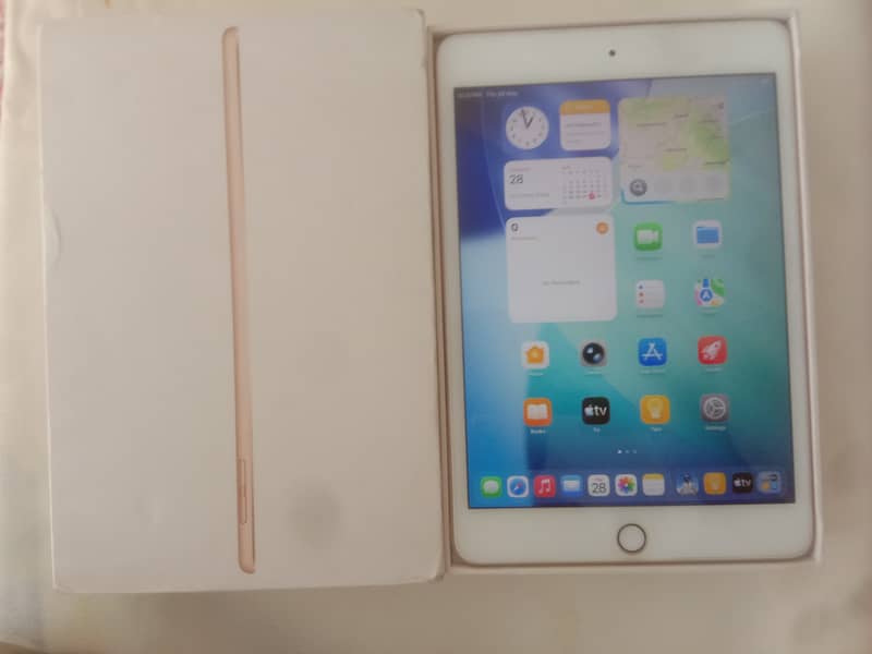 Ipad mini 5 0