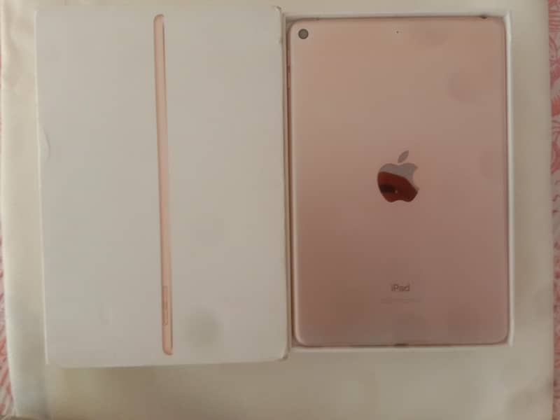Ipad mini 5 1