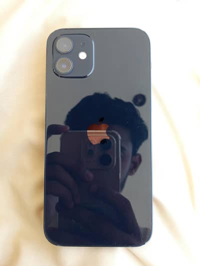 Apple iPhone 12