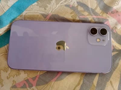 iphone 12 official pta approved 256 gb