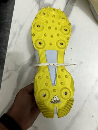 Adidas cricket Spikes