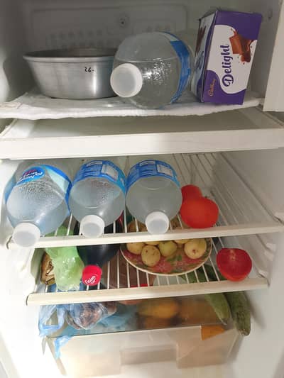 room size refrigerator