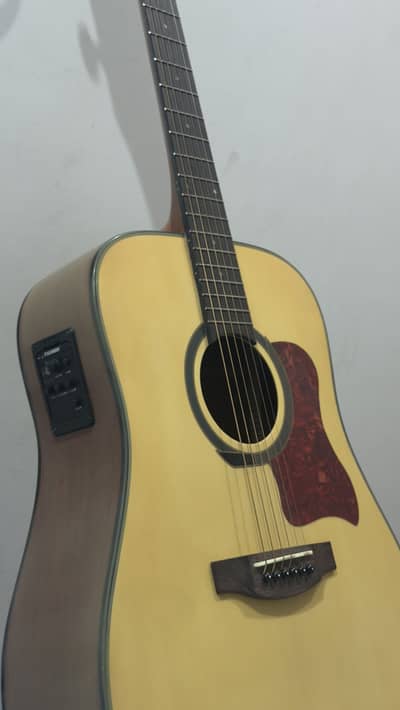 Semi Acoustic Guitar