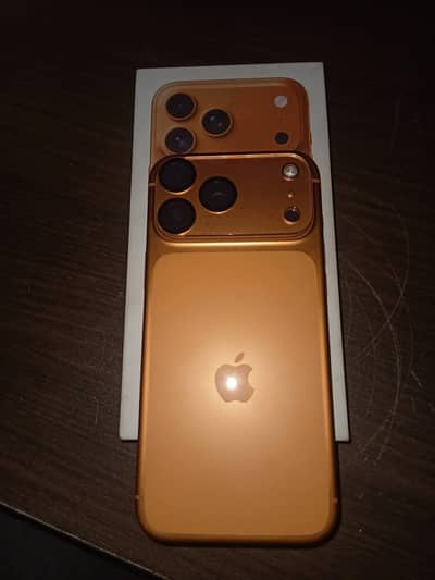 17 pro max