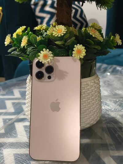 iPhone 12 Pro Max exchange possible read add