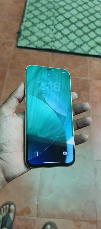 Apple iPhone 12 Pro Max