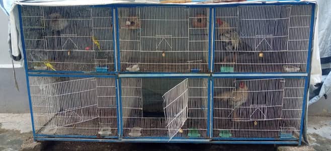 pinjra/ cages