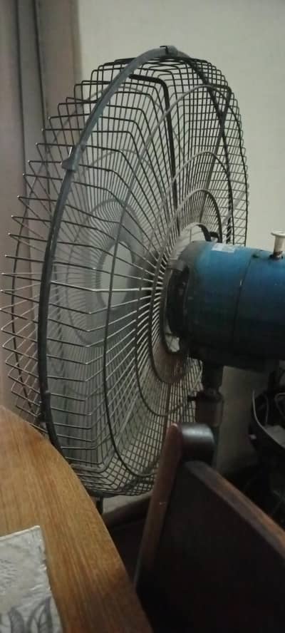Fan fan