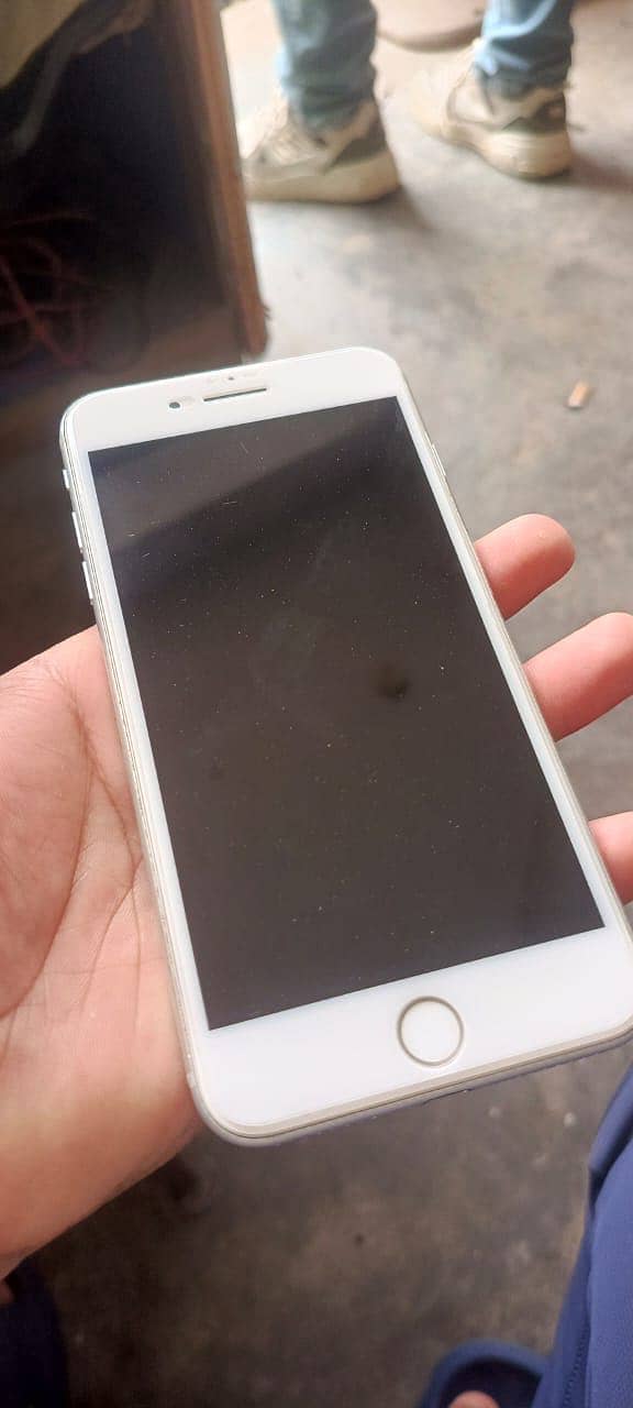 7 plus PTA APPROVED 2