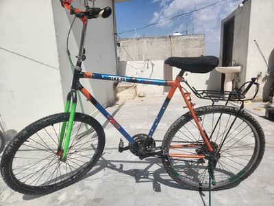 Phoenix Bicycle