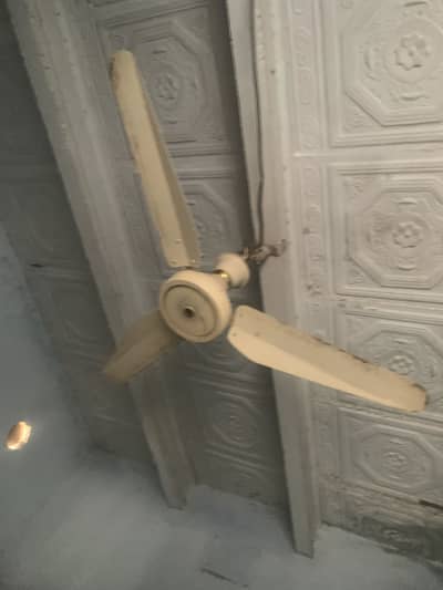 Fan for Sell