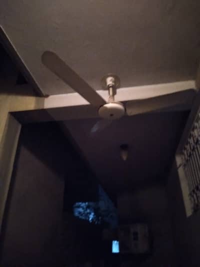 Royal Fan For Sale