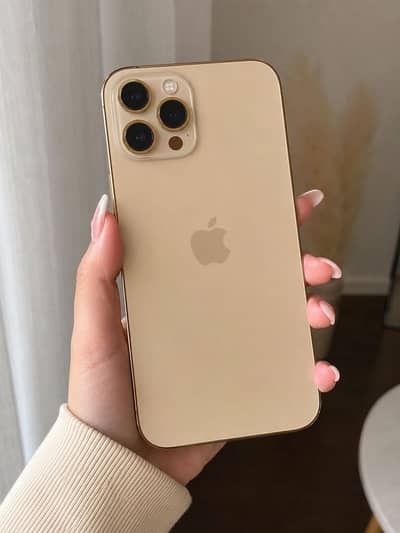 Apple iPhone 12 Pro Max
