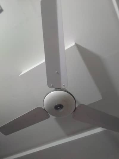 Fan for sale