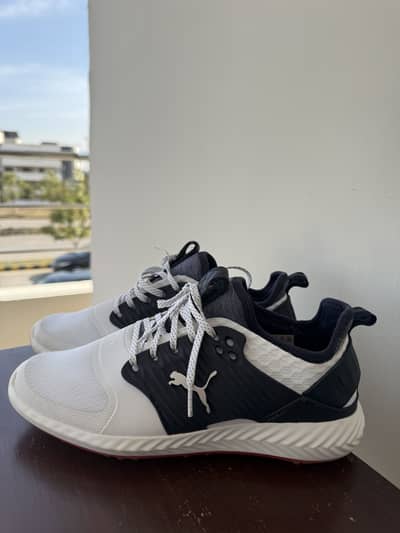 Golf shoes