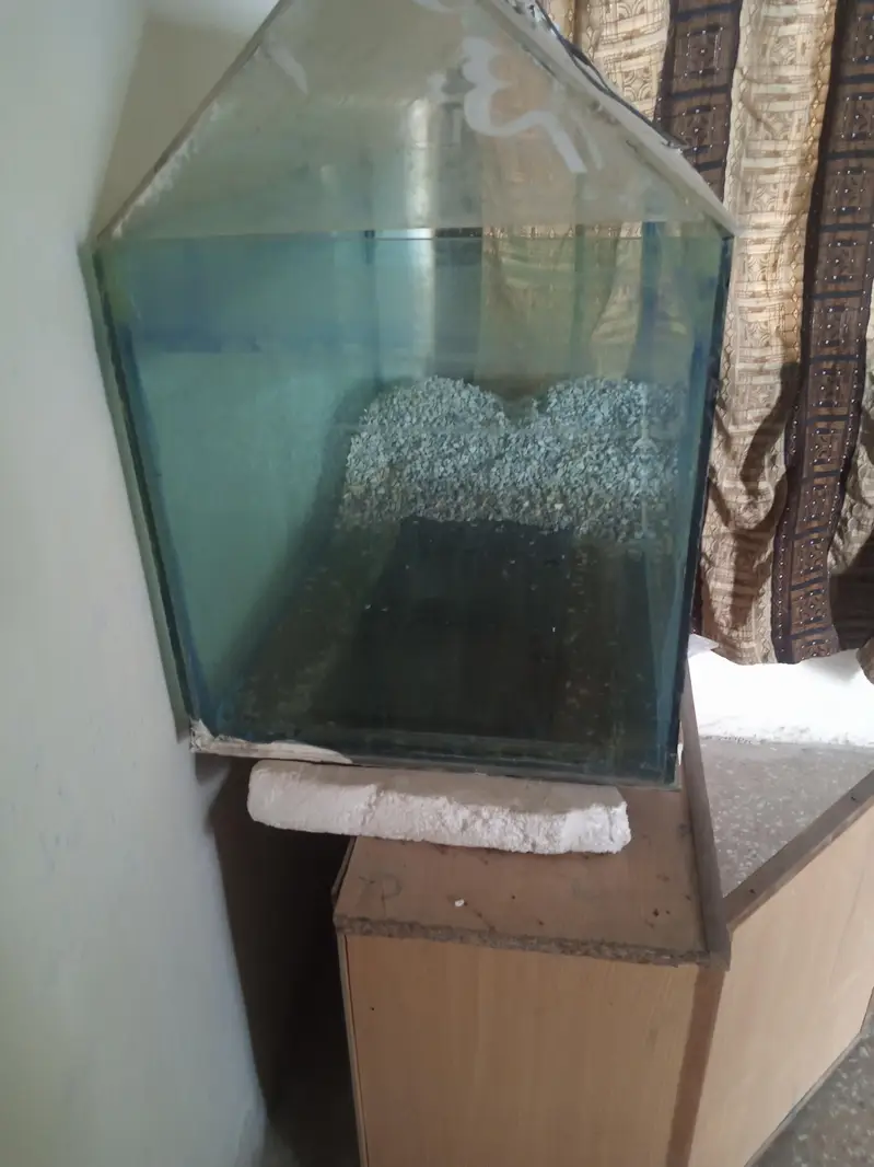 aquarium good condition — photo 4