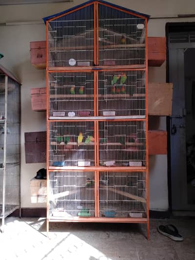 cage & birds sell